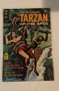 Edgar Rice Burroughs' Tarzan #193 (1970)