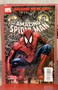 The Amazing Spider-Man #553 (2008)