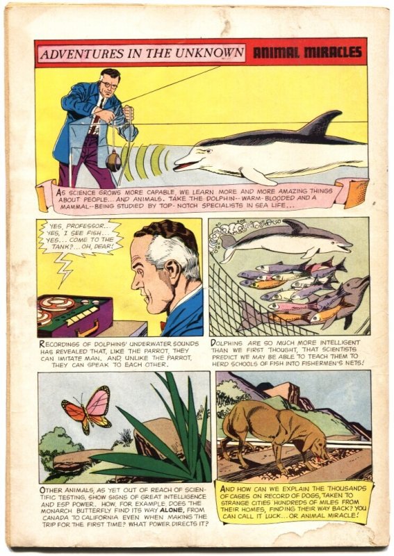 Four Color #1330  1962 - Dell  -G - Comic Book