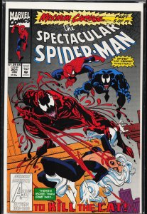 The Spectacular Spider-Man #201 (1993) Spider-Man