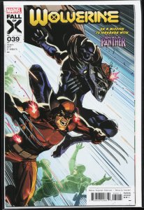 Wolverine #39 (2024) Wolverine