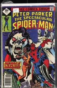 The Spectacular Spider-Man #7 (1977) Spider-Man