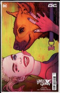 Harley Quinn #35 Frison Cover (2024) Harley Quinn