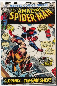 The Amazing Spider-Man #116 (1973) Spider-Man