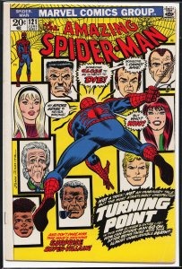 The Amazing Spider-Man #121 (1973) Spider-Man