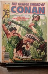 The Savage Sword of Conan #42 (1979)