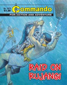 Raid on Rujangi