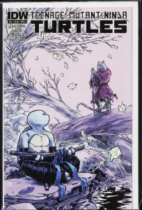 Teenage Mutant Ninja Turtles #31 (2014) [Key Issue]