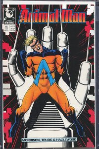 Animal Man #11 (1989) Animal Man