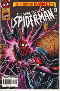 The Spectacular Spider-Man #231 (1996)
