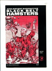 Adolescent Radioactive Black Belt Hamsters 2PC #1 - 1st+2nd Print (7.0/7.5) 1986