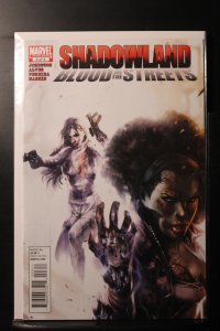 Shadowland: Blood on the Streets #3 (2010)