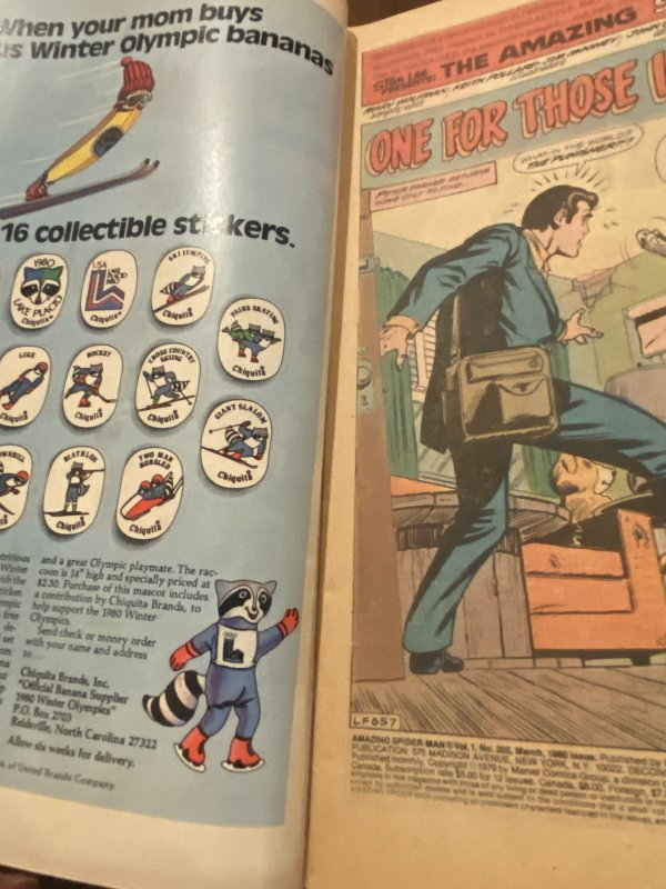 The Amazing Spider-Man #202 (1980) Punisher app