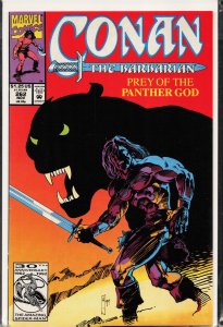 Conan the Barbarian #262 (1992) Conan