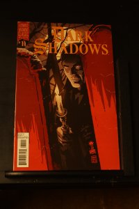 Dark Shadows #11 (2012) Dark Shadows