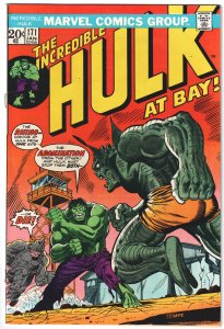 The Incredible Hulk #171 (1974) Hulk