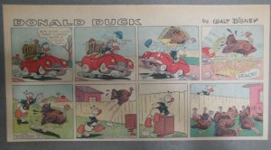 Walt Disney's Donald Duck Sunday Page from 12/27/1959 Size: ~7.5 x 15 inches