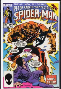 The Spectacular Spider-Man #111 (1986) Spider-Man