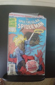 The Spectacular Spider-Man Annual #13 (1993)