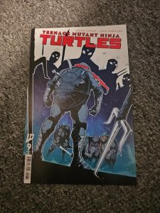 Teenage Mutant Ninja Turtles #9 1:50 Wjingaard Variant IDW 2025 NM