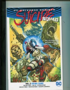 SUICIDE SQUAD VOL.2--GOING SANE (VF/NM) JIM LEE!! 2017