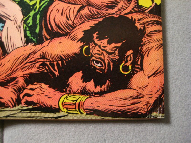 Tarzan #222 (1973, DC comics) 