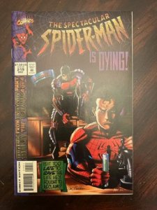 The Spectacular Spider-Man #219 (1994) - MT