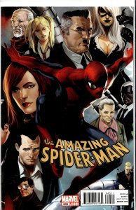 The Amazing Spider-Man #645 (2010)