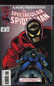 The Spectacular Spider-Man #208 (1994) Spider-Man