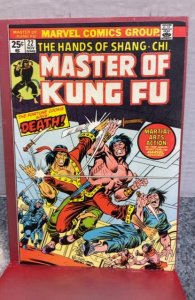 Master of Kung Fu #22 (1974)