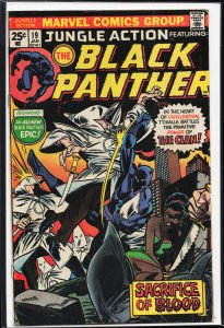 Jungle Action #19 (1976) Black Panther