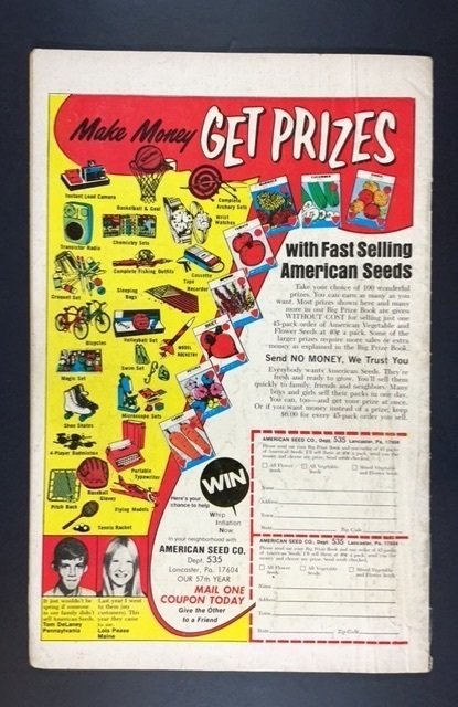 The Flash #233 (1975)