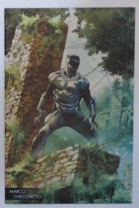 Black Panther #170 (Marvel, 2018) Marco Checcetto Young Guns Variant