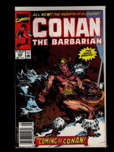 Conan the Barbarian #231,232,233,234,235,236,237,243,244,245 (1990)