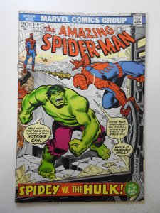 The Amazing Spider-Man #119 (1973) FN/VF Condition!