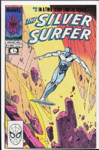 The Silver Surfer #2 (1989) Silver Surfer