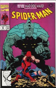 Spider-Man #31 (1993) Spider-Man