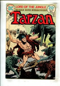 TARZAN #226 (6.0) KUBERT!! 1973