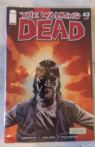 The Walking Dead #43 (2007)