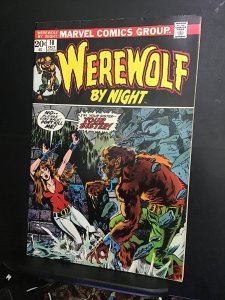 Werewolf by Night #10 (1973) high-grade bondage cover! VF/NM Wow