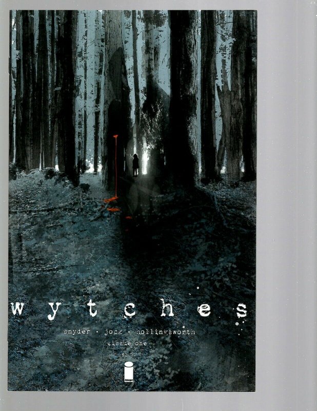 Lot of 12 Comics Wake # 1 2 3 4 5 6 Wytches # 1 2 3 4 5 6 Image Vertigo WB3