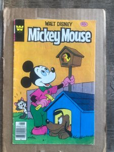 Mickey Mouse #196 (1979)