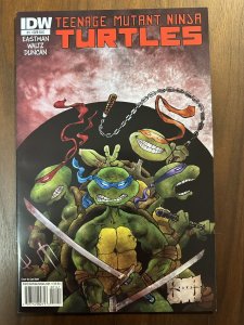 Teenage Mutant Ninja Turtles #1RI.C 1:25 Variant VF+ Sam Kieth Cvr (IDW 2011)