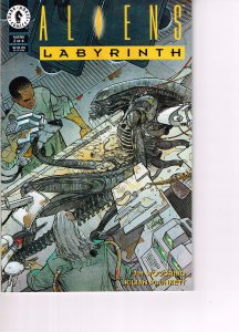 Aliens: Labyrinth #2 (1993)