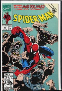 Spider-Man #29 (1992) Spider-Man