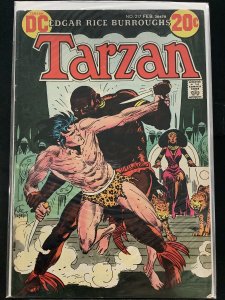 Tarzan #217 (1973)