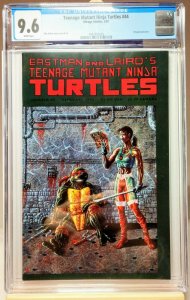 Teenage Mutant Ninja Turtles #44 