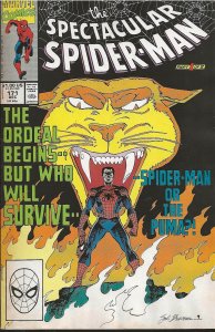 The Spectacular Spider-Man #171 Direct Edition (1990) - NM