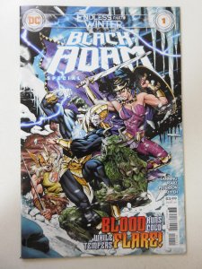 Black Adam: Endless Winter Special (2021)