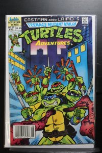 Teenage Mutant Ninja Turtles Adventures #23 Newsstand Edition (1991)